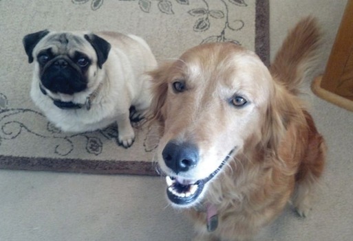 shown are Wiley and Olivia