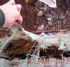  low-cost or non-existent exterior building envelope moisture management system