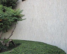 Arriscraft Thin-Cut Limestone