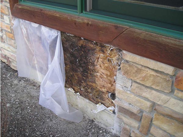 masonry Moisture Protection